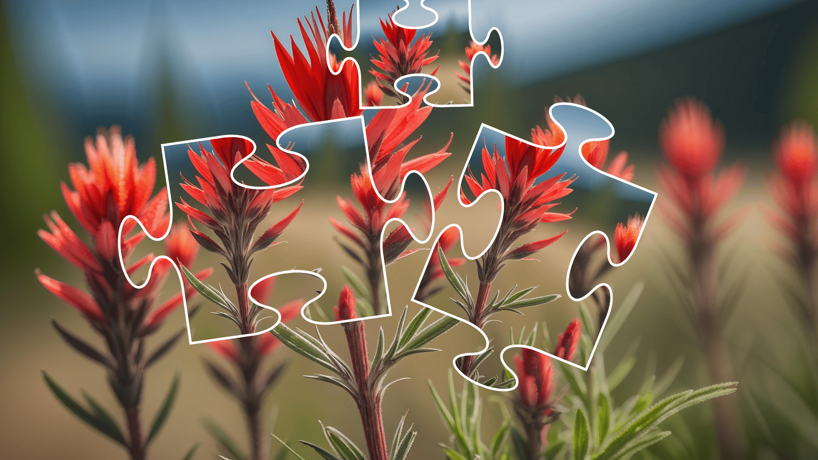 Marketing Plans and Digital Strategy